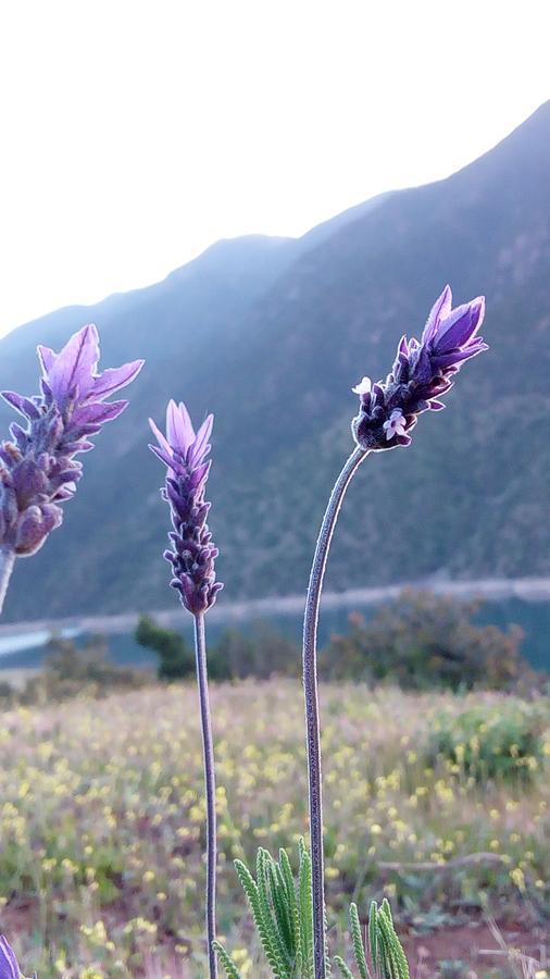 Gite Du Lac Ouirgane Dış mekan fotoğraf